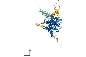 AlphaFold protein structure predicition of Mouse Recombinant Tmem39a Protein, UniprotID Q9CYC3