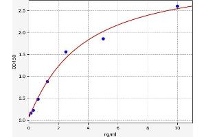 Cyclin D1 ELISA Kit