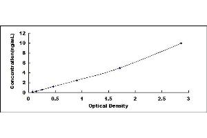 Typical standard curve (RPL6 ELISA Kit)