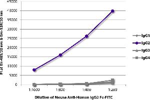 FLISA plate was coated with purified human IgG1, IgG2, IgG3, and IgG4. (Maus anti-Human IgG2 (Fc Region) Antikörper (FITC))
