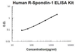 Human R-Spondin-1 PicoKine ELISA Kit standard curve (RSPO1 ELISA Kit)