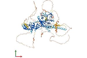 Protein Structure (PS) image for DDHD Domain Containing 1 (DDHD1) (AA 1-900) protein (His tag) (ABIN7553682)