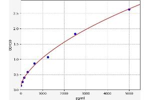 LRP5 ELISA Kit