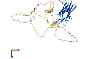PPP1R3C Protein (AA 1-317) (His tag)