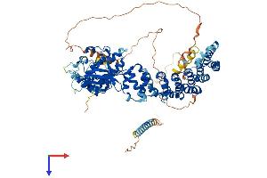 SCYL1 Protein (AA 1-808) (His tag)