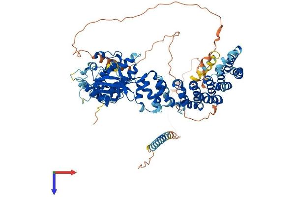 SCYL1 Protein (AA 1-808) (His tag)