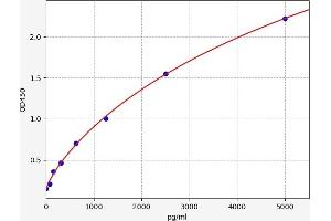 NDST2 ELISA Kit