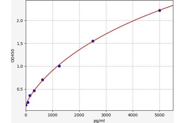 NDST2 ELISA Kit