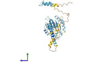AlphaFold protein structure predicition of Mouse Recombinant Psmd4 Protein, UniprotID O35226