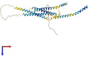 Syntaxin 5 Protein (STX5) (AA 1-355) (His tag)