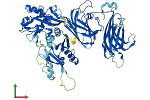 Protein Structure (PS) image for Calpain 6 (CAPN6) (AA 1-641) protein (His tag) (ABIN7562350)