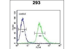 FGFBP3 Antibody (C-term) (ABIN651816 and ABIN2840409) flow cytometric analysis of 293 cells (right histogram) compared to a negative control cell (left histogram).