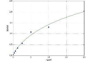Glutamate Receptor, Ionotropic, N-Methyl D-Aspartate 1 (GRIN1) ELISA Kit