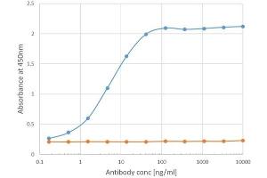 Binding curve of anti-ICOSL antibody HK5. (Rekombinanter ICOSLG Antikörper)