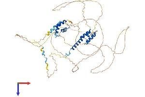 HIRIP3 Protein (AA 1-601) (His tag)