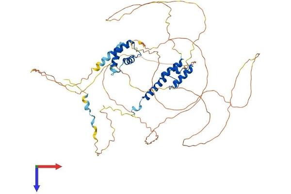 HIRIP3 Protein (AA 1-601) (His tag)