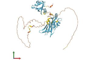 Protein Structure (PS) image for Heterogeneous Nuclear Ribonucleoprotein F (HNRNPF) (AA 1-415) protein (His tag) (ABIN7556451)