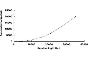 ELISA image for Neurotrophin 3 (NTF3) CLIA Kit (ABIN491812)