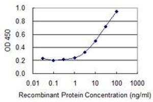 ELISA image for anti-ATPase, H+ Transporting, Lysosomal 56/58kDa, V1 Subunit B1 (ATP6V1B1) (AA 1-75) antibody (ABIN513628)