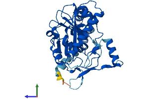 Protein Structure (PS) image for Acyl-CoA Wax Alcohol Acyltransferase 1 (AWAT1) (AA 1-328) protein (His tag) (ABIN7552490)