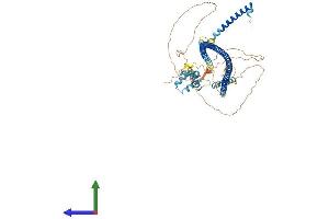 Protein Structure (PS) image for RAB11 Family Interacting Protein 4 (Class II) (RAB11FIP4) (AA 1-635) protein (His tag) (ABIN7558820)
