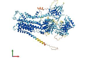 AlphaFold protein structure predicition of Mouse Recombinant Atp11c Protein, UniprotID Q9QZW0