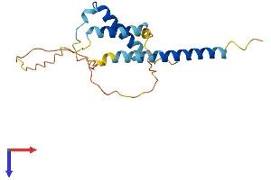m1ip1 Protein (AA 1-183) (His tag)