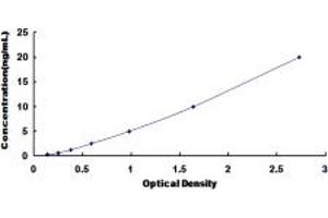 Typical standard curve (Myosin VIIB ELISA Kit)