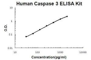 Human Caspase 3 PicoKine ELISA Kit standard curve (Caspase 3 ELISA Kit)