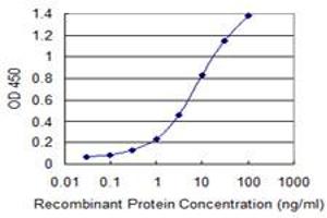 ELISA image for anti-NIMA (Never In Mitosis Gene A)-Related Kinase 11 (NEK11) (AA 1-483) antibody (ABIN599307) (NEK11 Antikörper  (AA 1-483))