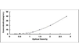 Typical standard curve