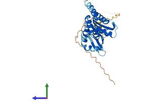 Protein Structure (PS) image for Partner of NOB1 Homolog (PNO1) (AA 1-248) protein (His tag) (ABIN7560476)