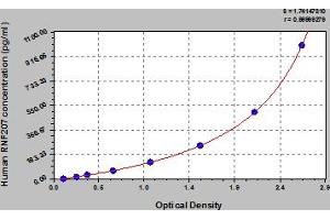 Typical Standard Curve (RNF207 ELISA Kit)