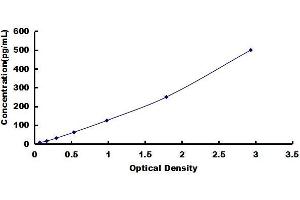 Typical standard curve