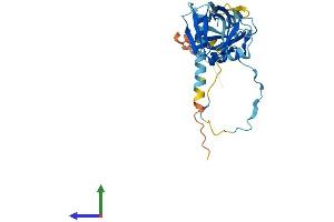 AlphaFold protein structure predicition of Human Recombinant DAPP1 Protein, UniprotID Q9UN19 (DAPP1 Protein (AA 1-280) (His tag))