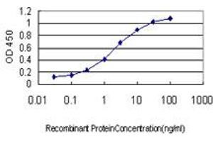 Detection limit for recombinant GST tagged CDX4 is approximately 0. (CDX4 Antikörper  (AA 71-170))