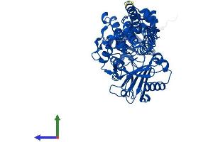 Protein Structure (PS) image for Monoamine Oxidase A (MAOA) (AA 1-526) protein (His tag) (ABIN7557812)
