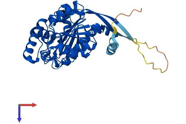 SAE1 Protein (AA 1-346) (His tag)
