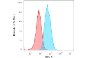 Flow Cytometry (FACS) image for anti-S100 Calcium Binding Protein A4 (S100A4) antibody (ABIN6940543)