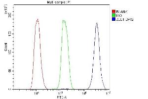 Flow Cytometry analysis of K562 cells using anti-ZEB1 antibody (ABIN7602984). (ZEB1 Antikörper  (Middle Region))