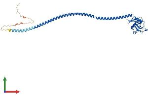Protein Structure (PS) image for CD207 Molecule, Langerin (CD207) (AA 1-331) protein (His tag) (ABIN7559788)