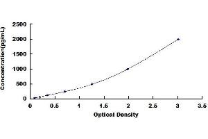 Typical standard curve (CXCR2 ELISA Kit)