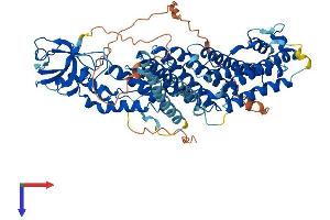 RHPN2 Protein (AA 1-686) (His tag)