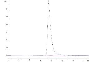 Size-exclusion chromatography-High Pressure Liquid Chromatography (SEC-HPLC) image for Tumor Necrosis Factor (Ligand) Superfamily, Member 10 (TNFSF10) (AA 118-281), (Trimer) protein (His-DYKDDDDK Tag) (ABIN7275775)