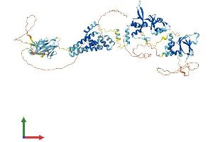 Protein Structure (PS) image for Cyclin M2 (CNNM2) (AA 1-875) protein (His tag) (ABIN7563679)
