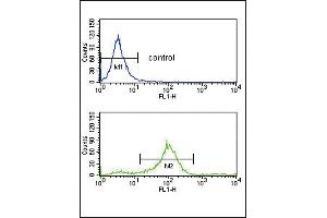 SFRP1 Antibody (N-term) (ABIN652980 and ABIN2842622) flow cytometry analysis of K562 cells (bottom histogram) compared to a negative control cell (top histogram). (SFRP1 Antikörper  (N-Term))