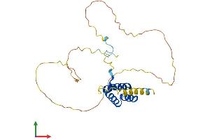 Protein Structure (PS) image for Homeobox C8 (HOXC8) (AA 1-242) protein (His tag) (ABIN7548418)