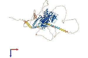 TTLL6 Protein (AA 1-822) (His tag)