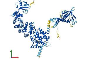 Protein Structure (PS) image for Engulfment and Cell Motility 3 (ELMO3) (AA 1-720) protein (His tag) (ABIN7553781)