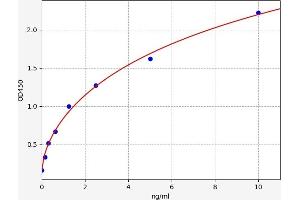 CYP7A1 ELISA Kit